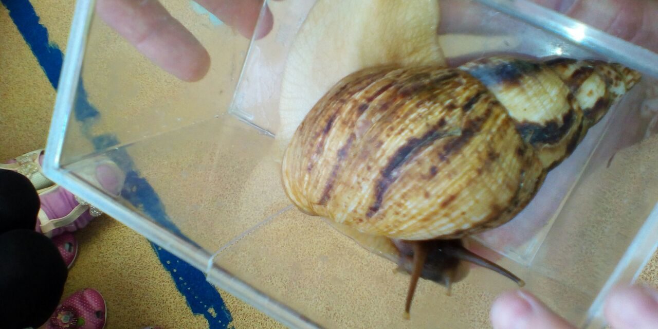 WhatsApp Image 2018-03-21 at 20.56.38