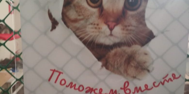 WhatsApp Image 2019-02-15 at 12.42.35